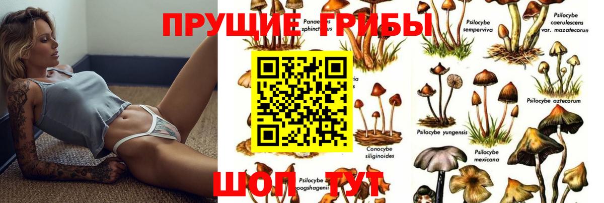 Псилоцибиновые грибы мухоморы Гудермес