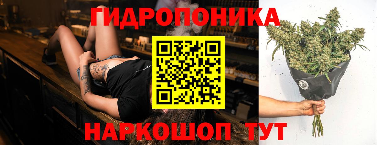 Бошки марихуана гибрид  Каннабис план  Конопля план  Гудермес  Вход с VPN 